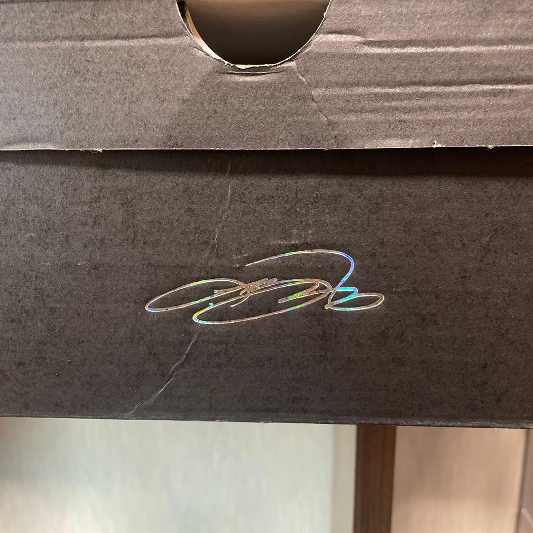 ☆希少カラー☆LEBRON WITNESS V