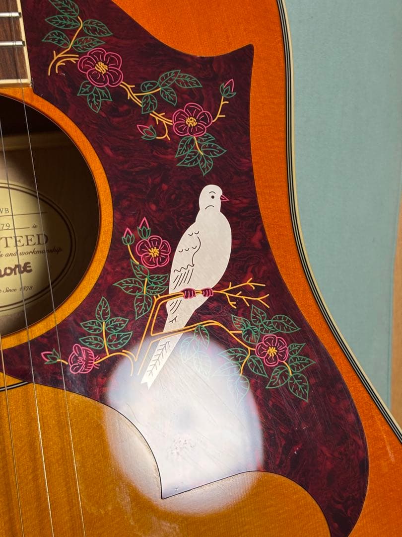 特別値引き‼️程度極上❗️EpiphoneエピフォンDOVE PRO/VB エレアコ