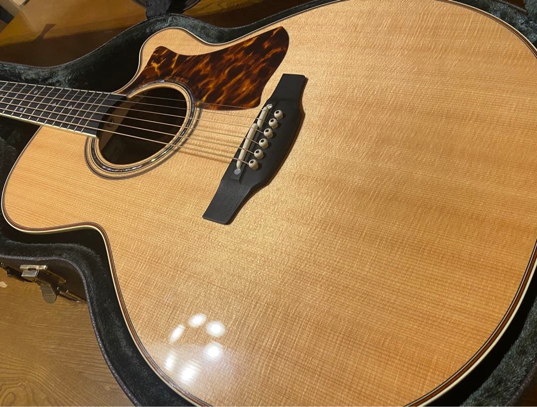 タカミネ DMP50S 2ピックアップ エレアコ ナチュラル