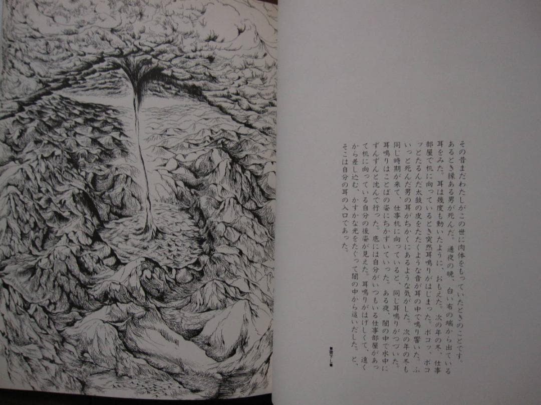 木葉井悦子　耳界　帯付き