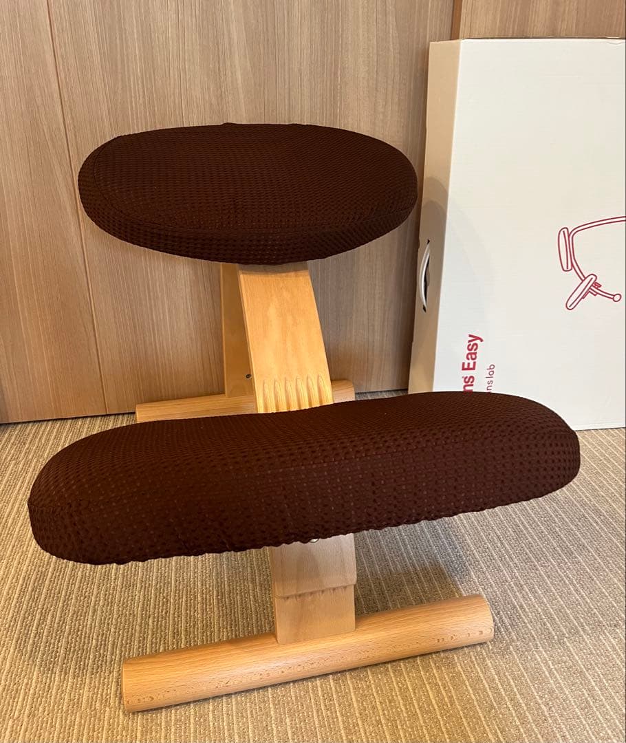 ほぼ新品【Balans Easy】姿勢矯正チェア　カバー付き