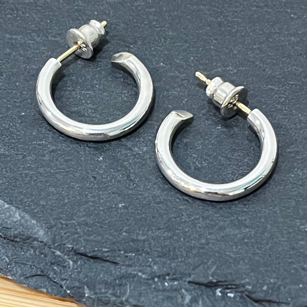 キャリアリング 301 CAREERING PLACEBO SV ピアス