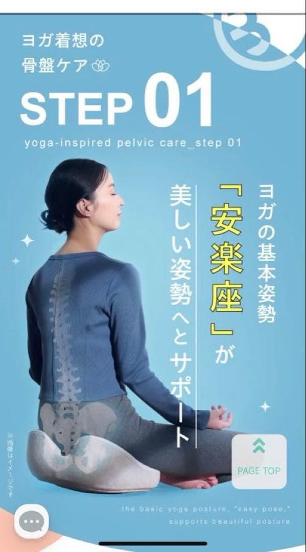 ヨガバランス骨盤クッション