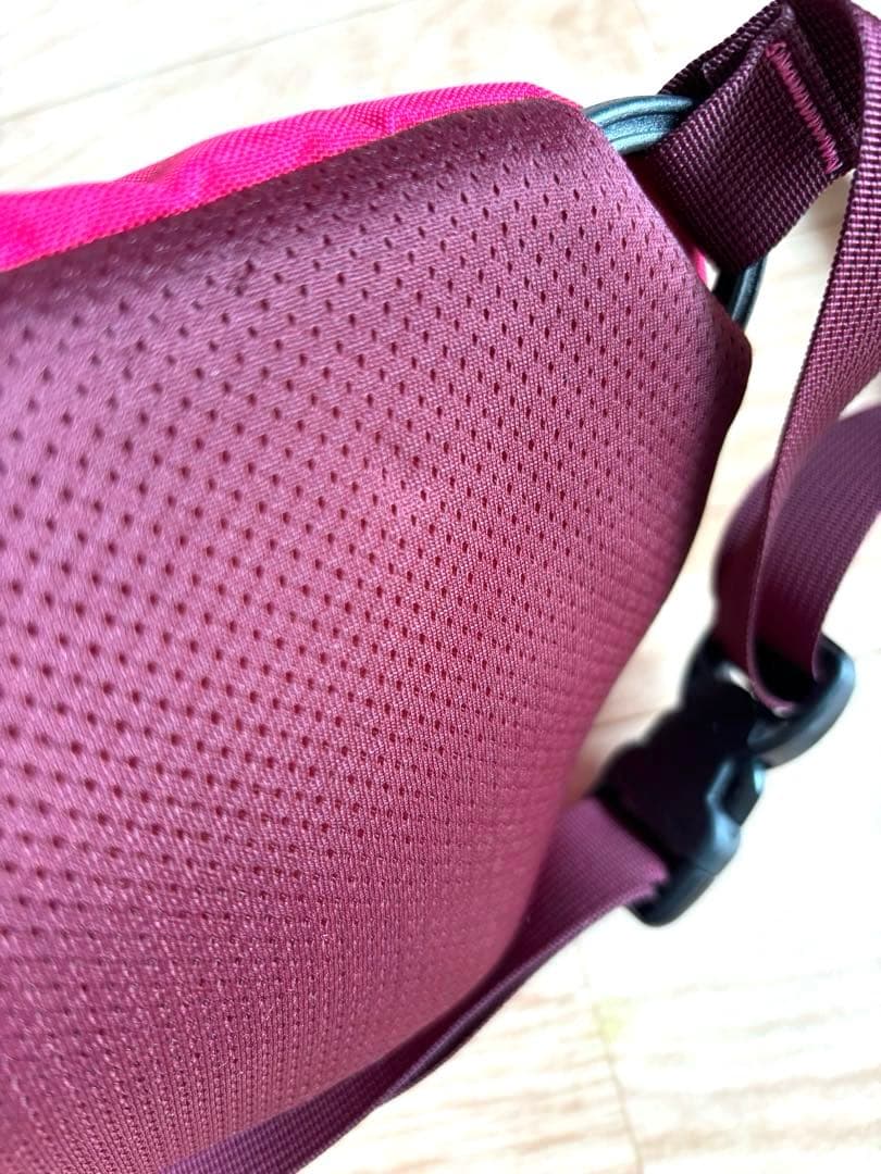 ほぼ未使用⭐︎アークテリクス マカ ショルダーバッグ ピンク ウエストポーチ