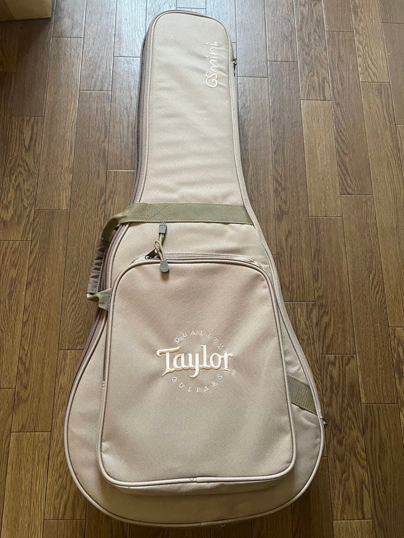 Taylor Guitars ( テイラーギター ) GS Mini-e