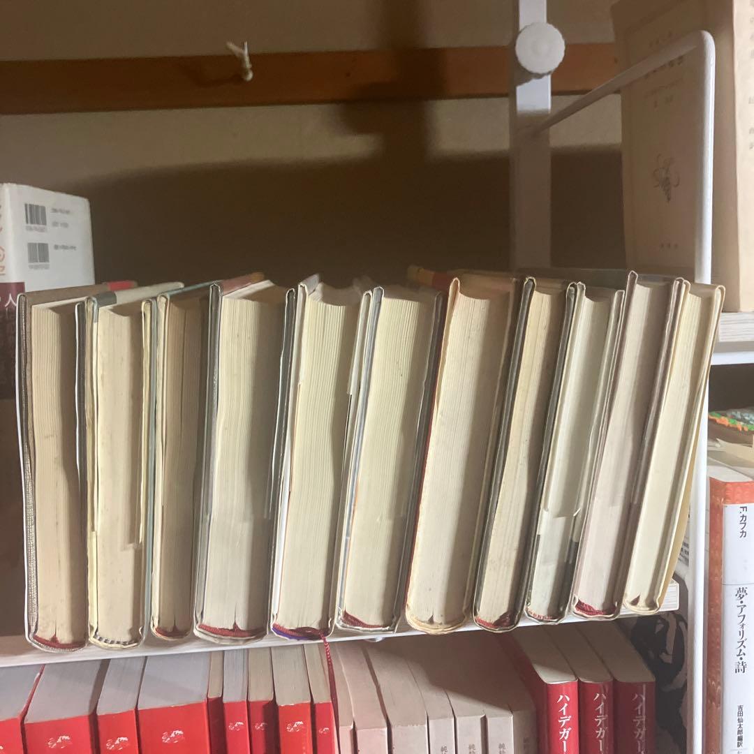 ミラン・クンデラ 10冊まとめ売り＋ミラン・クンデラの思想