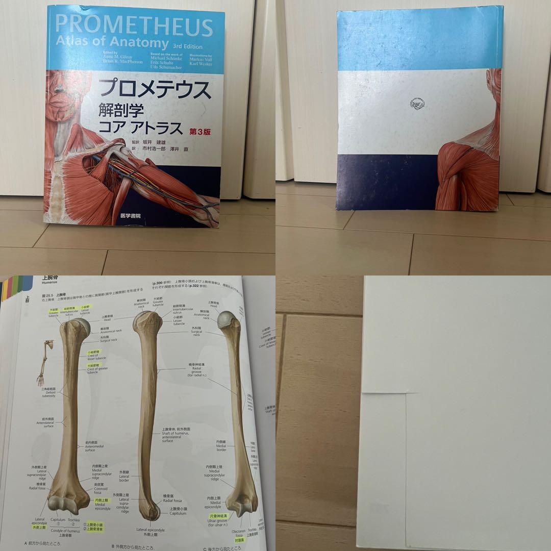 【最終値引】理学療法　教科書　19点セット