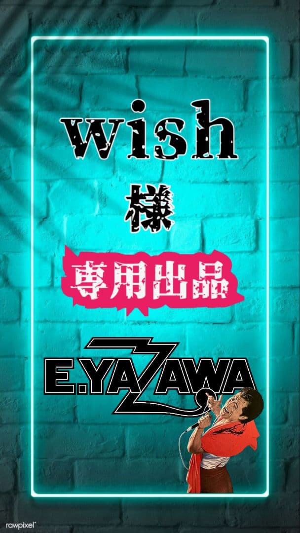 ✴️【wish様☆専用出品】✴️