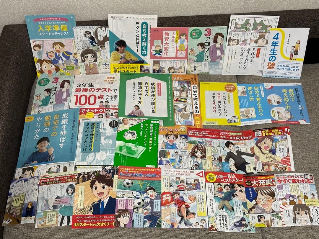 ベネッセ 進研ゼミ DM ダイレクトメール 漫画 チャレンジ 小学生版