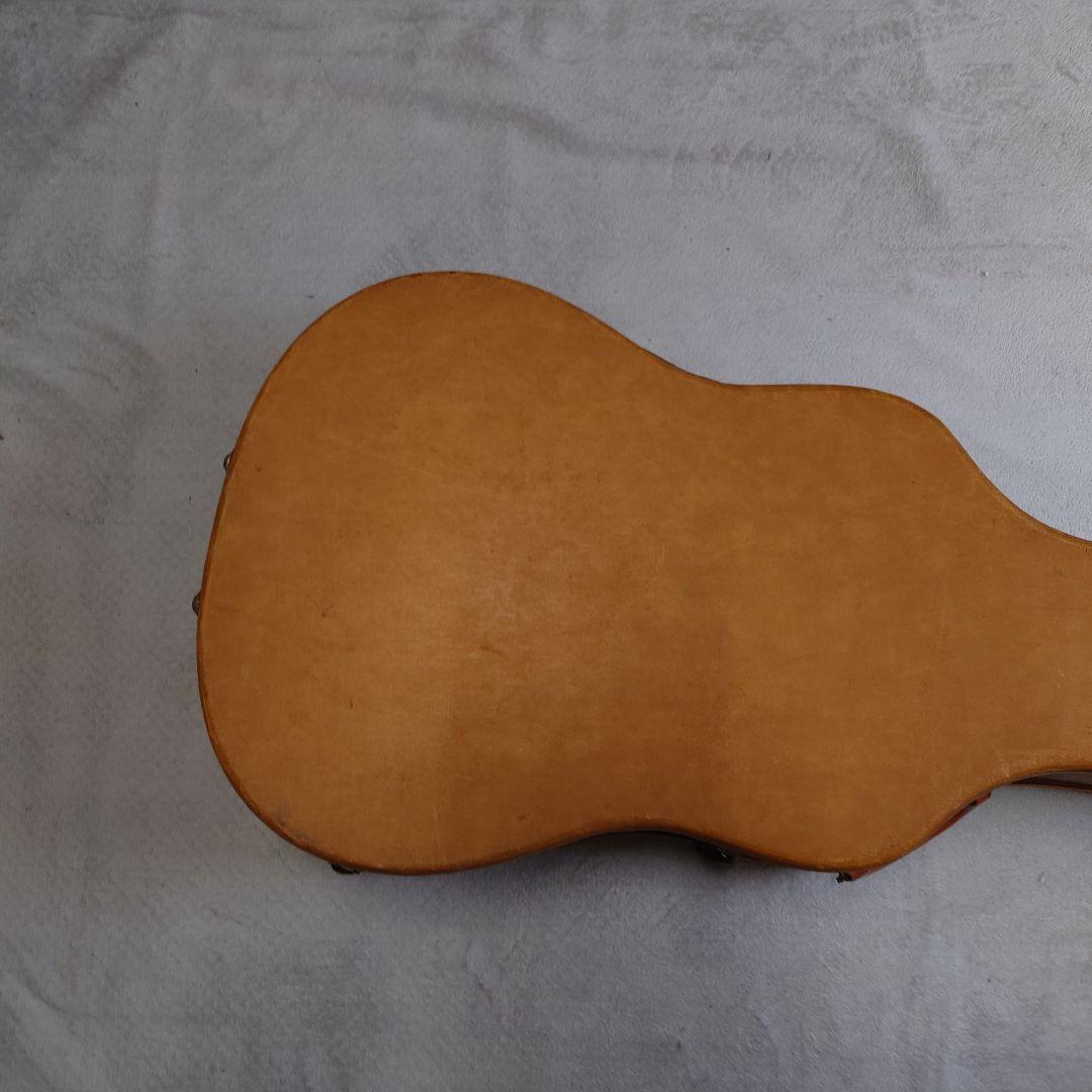 applause アコースティックギター サンバースト