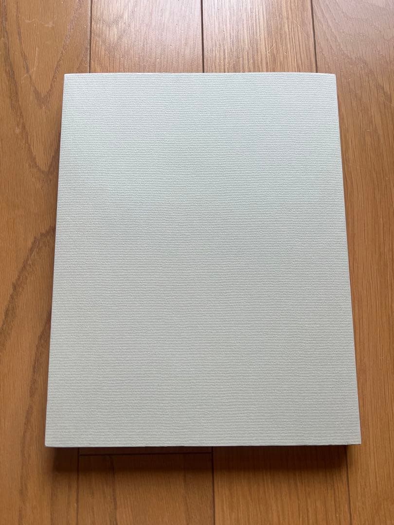 超希少 建築 Martin Rauch マルティンラオホ 作品集 ドイツ語