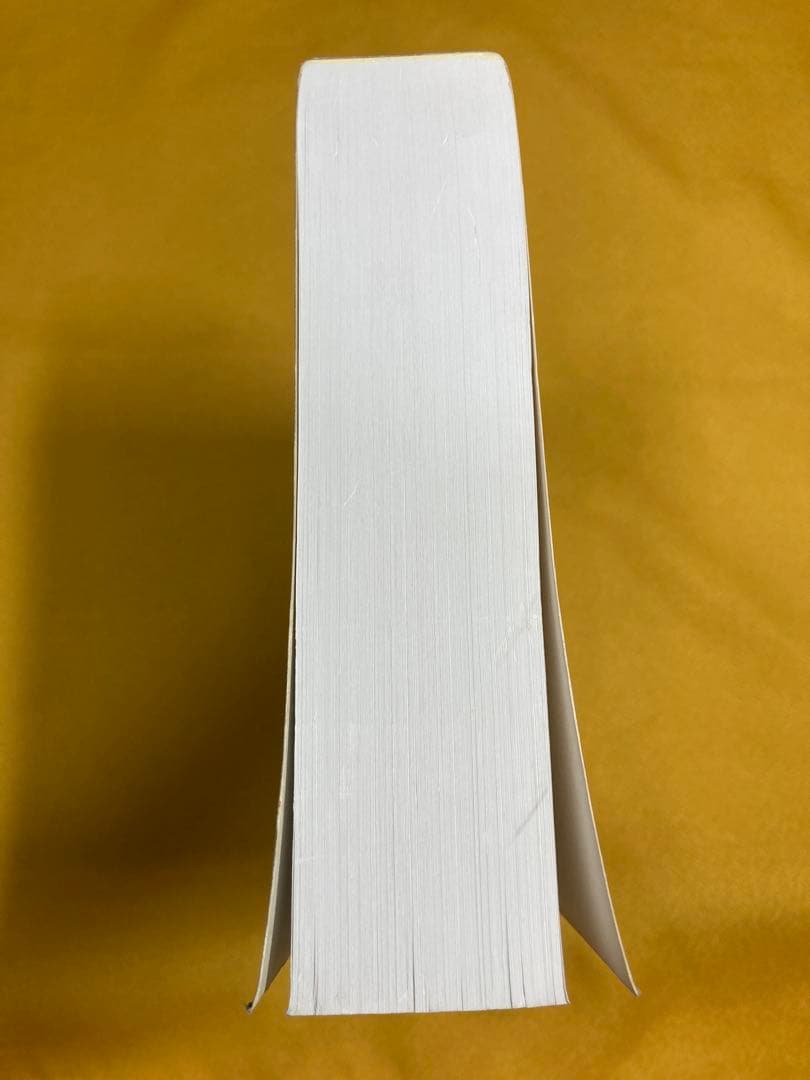 洋書 CONSCIOUSNESS BIOENERGY AND HEALING