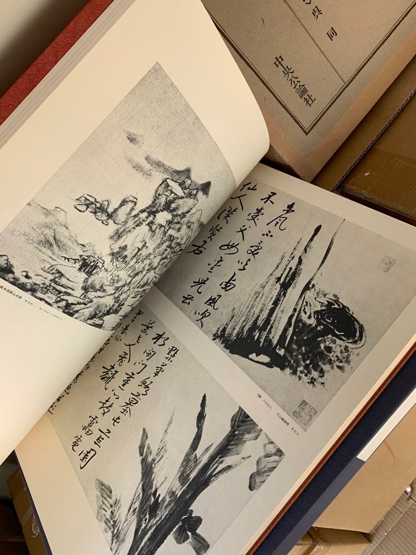 『5125』文人画粋編 全20巻中2冊 八大山人 石濤 金農 呉昌碩 齊白石