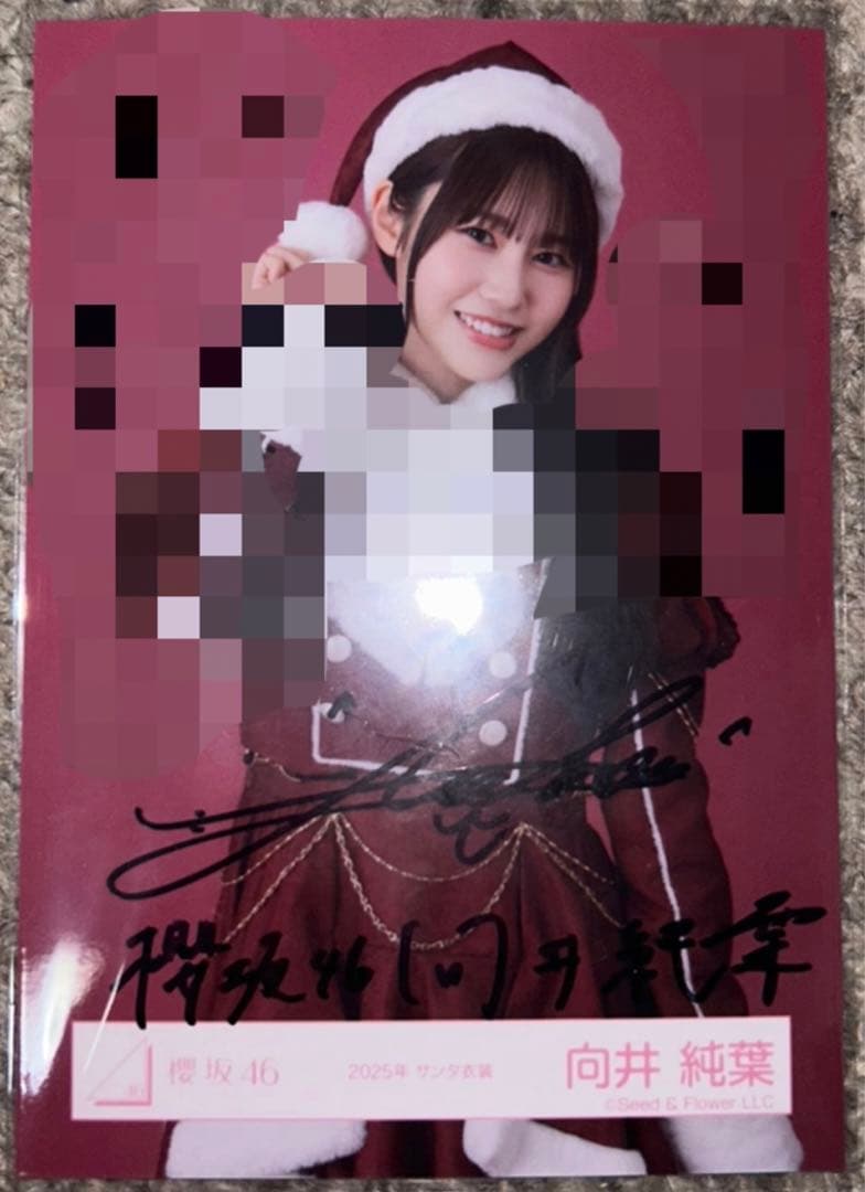 ニ*イ様 向井純葉 直筆サイン入り サンタ衣装2025