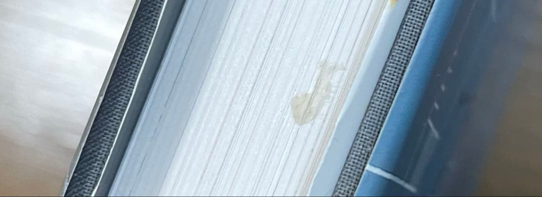 Jasper Johns A Retrospective MoMA 回顧録　新品