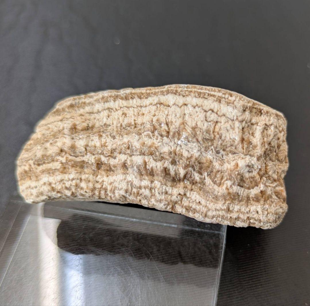 ★秋田発『北投石』１５５グラム 100%本物!! 玉川温泉産 ⛄️