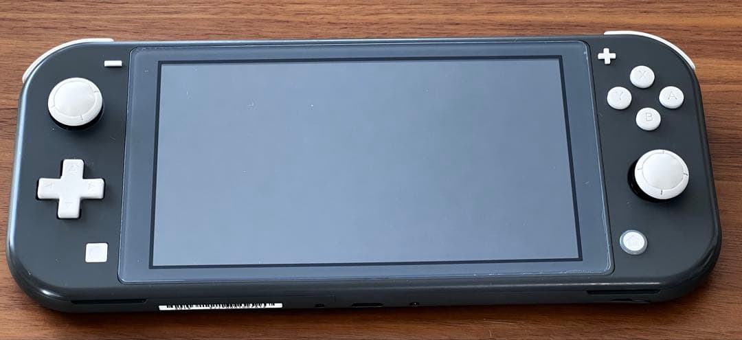 【ジャンク】Nintendo Switchライト（画面液晶線あり）