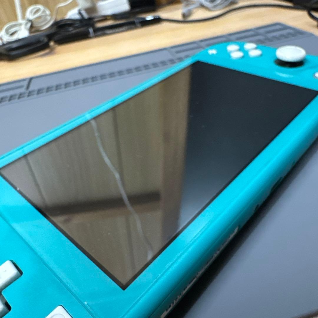 スイッチライト　Switchライト　画面滲みあり　ジャンク扱い　動作確認済み
