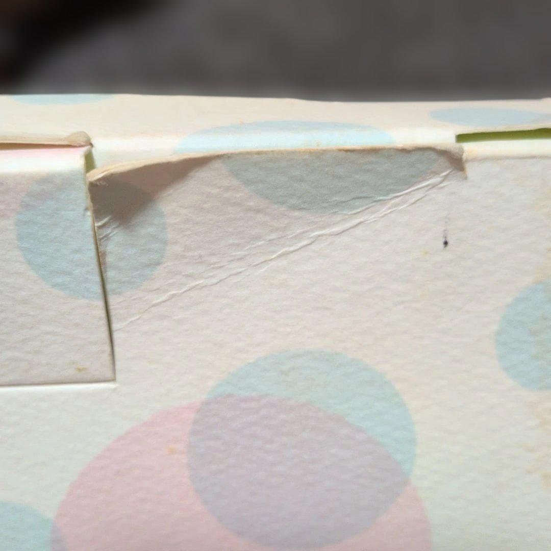 世界一のおてんばボックス