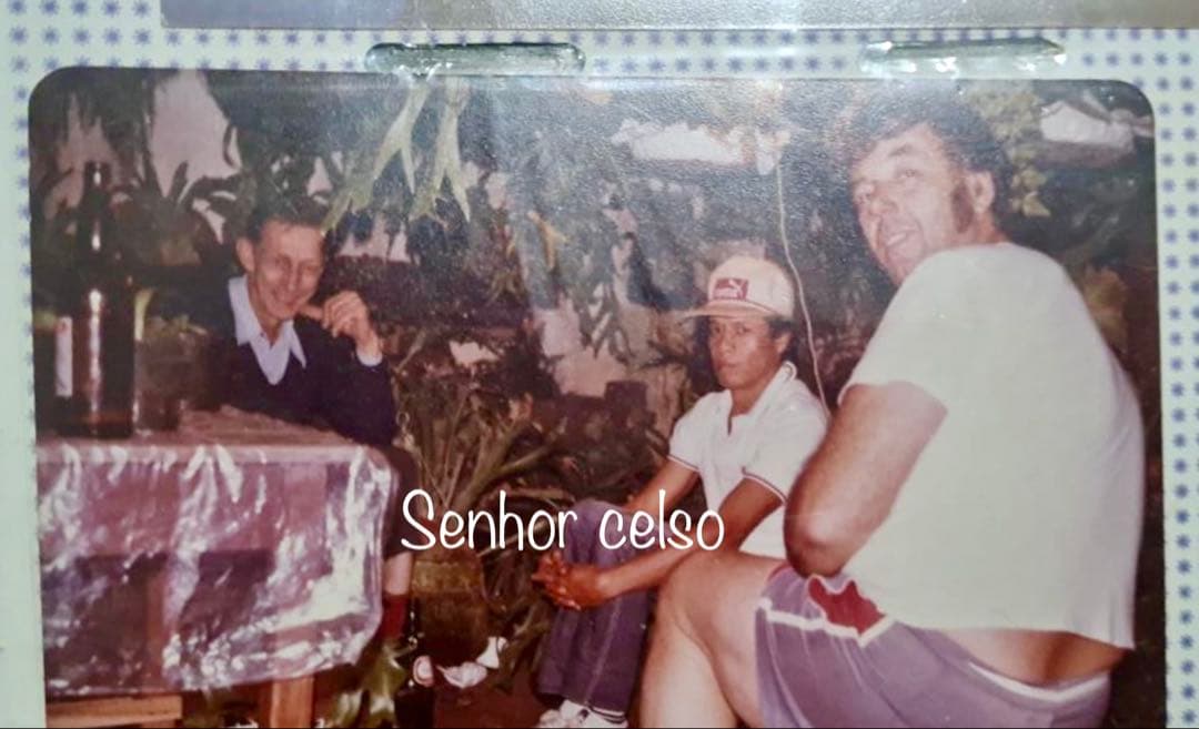 OC株 veitchii cv.celso Tatsutaセルソビカクシダ18