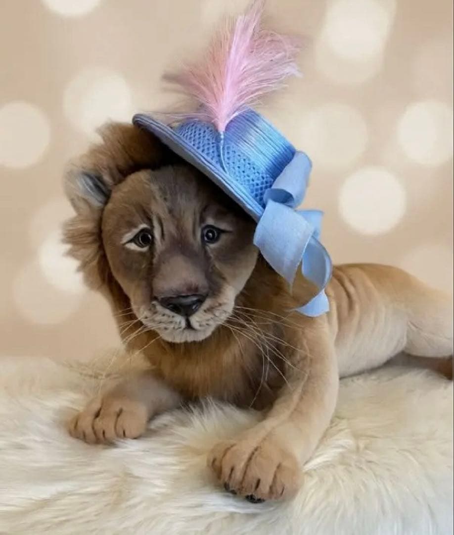 海外作家様作　アートドール　帽子を被ったライオン