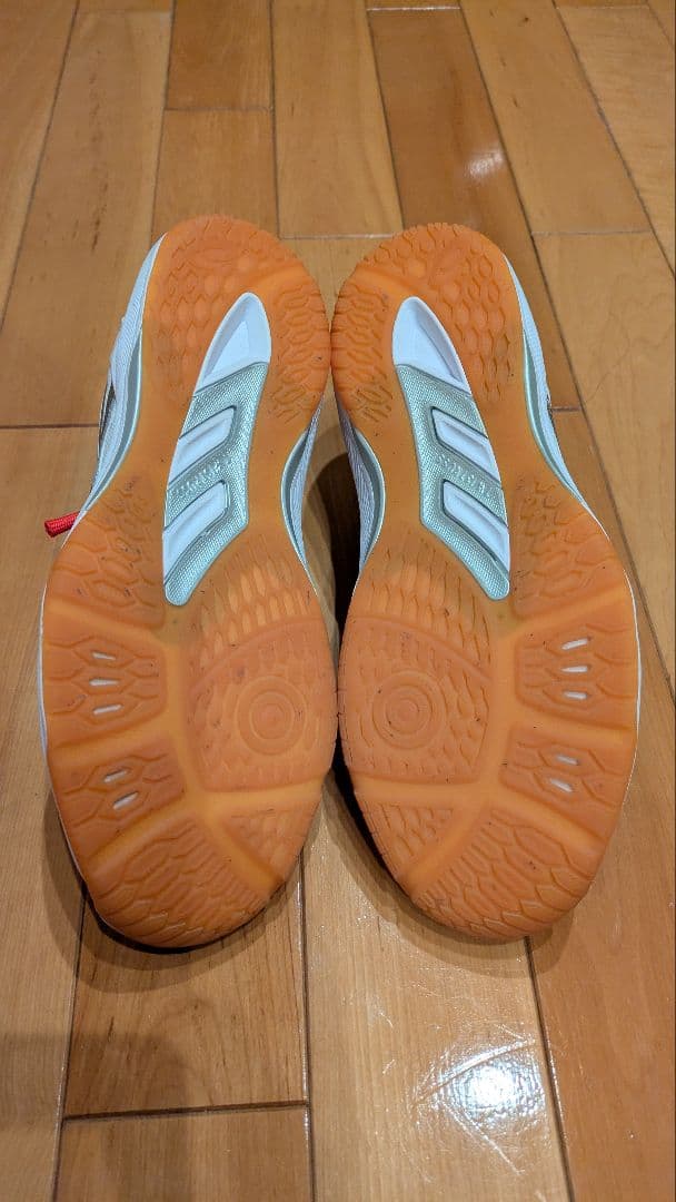 バレーボールシューズ ローテジャパンライト 限定カラー 25.0cm