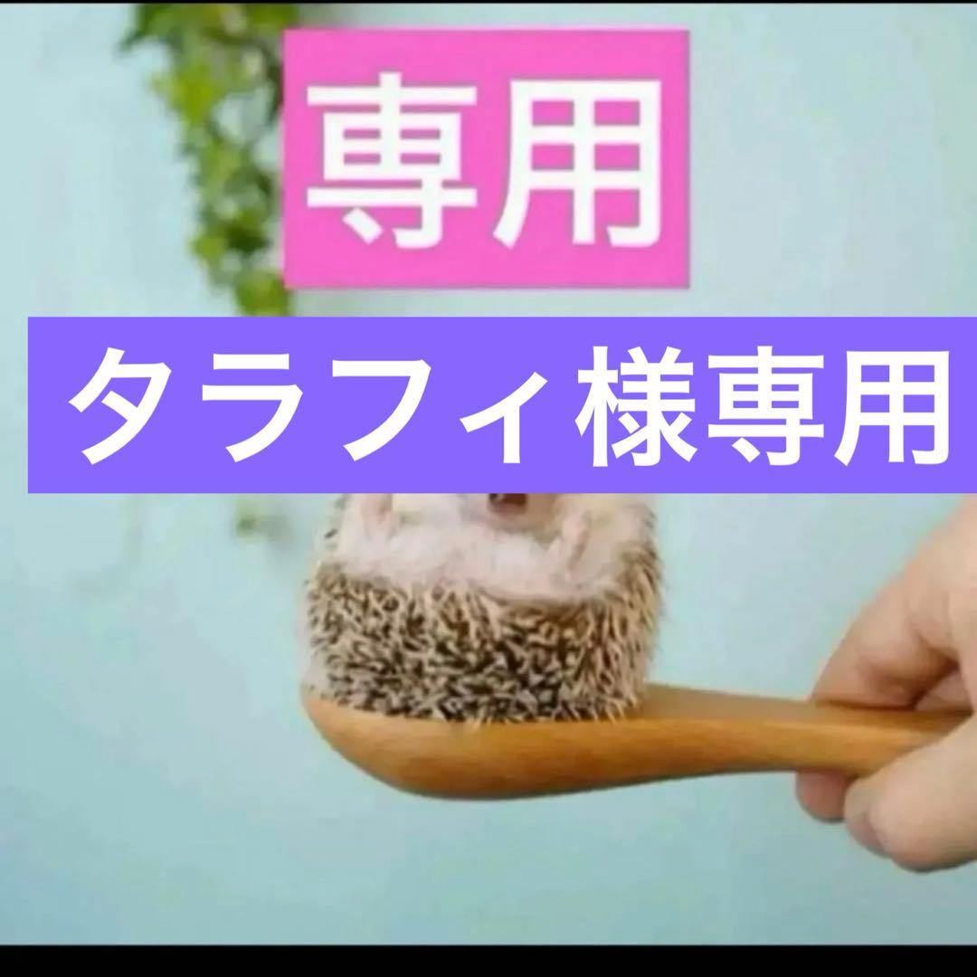 7点、プレミエ2点、ニュイ2点、Rセラム2点、ブルーミング ブーケ1点