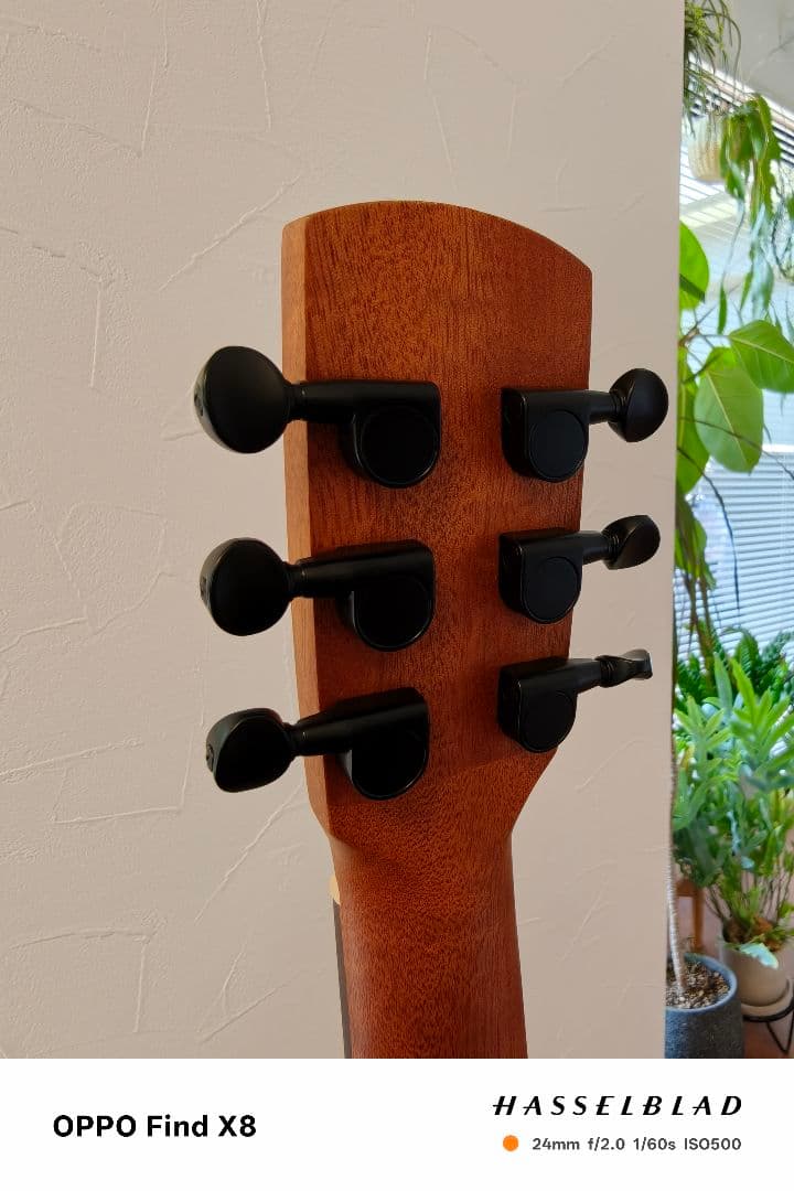 アヌエヌエ aNueNue Bird Guitar aNN-M1