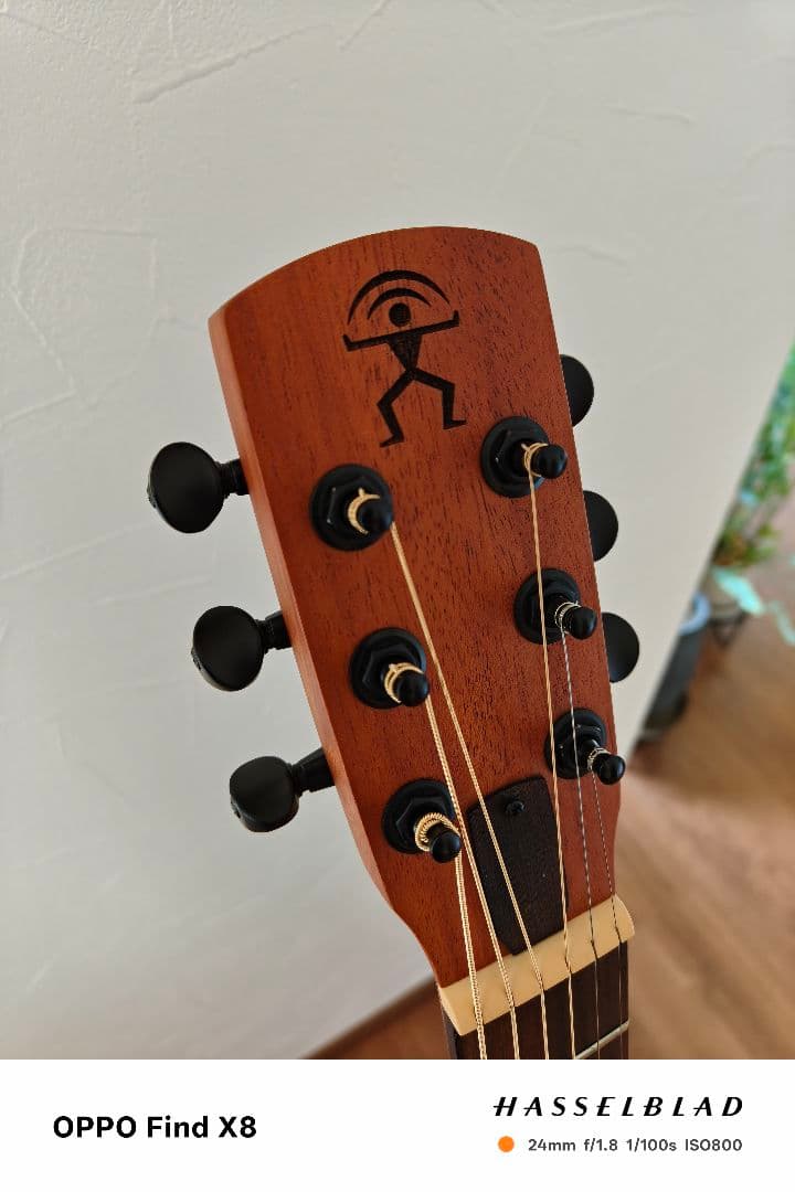 アヌエヌエ aNueNue Bird Guitar aNN-M1