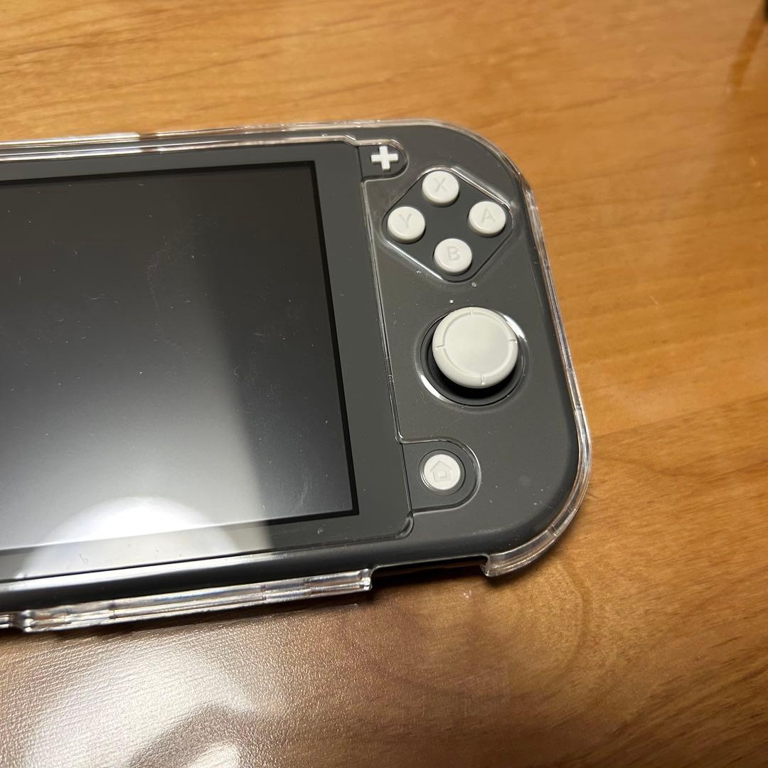 NintendoSwitchLite 本体　あつ森　& マイクラ