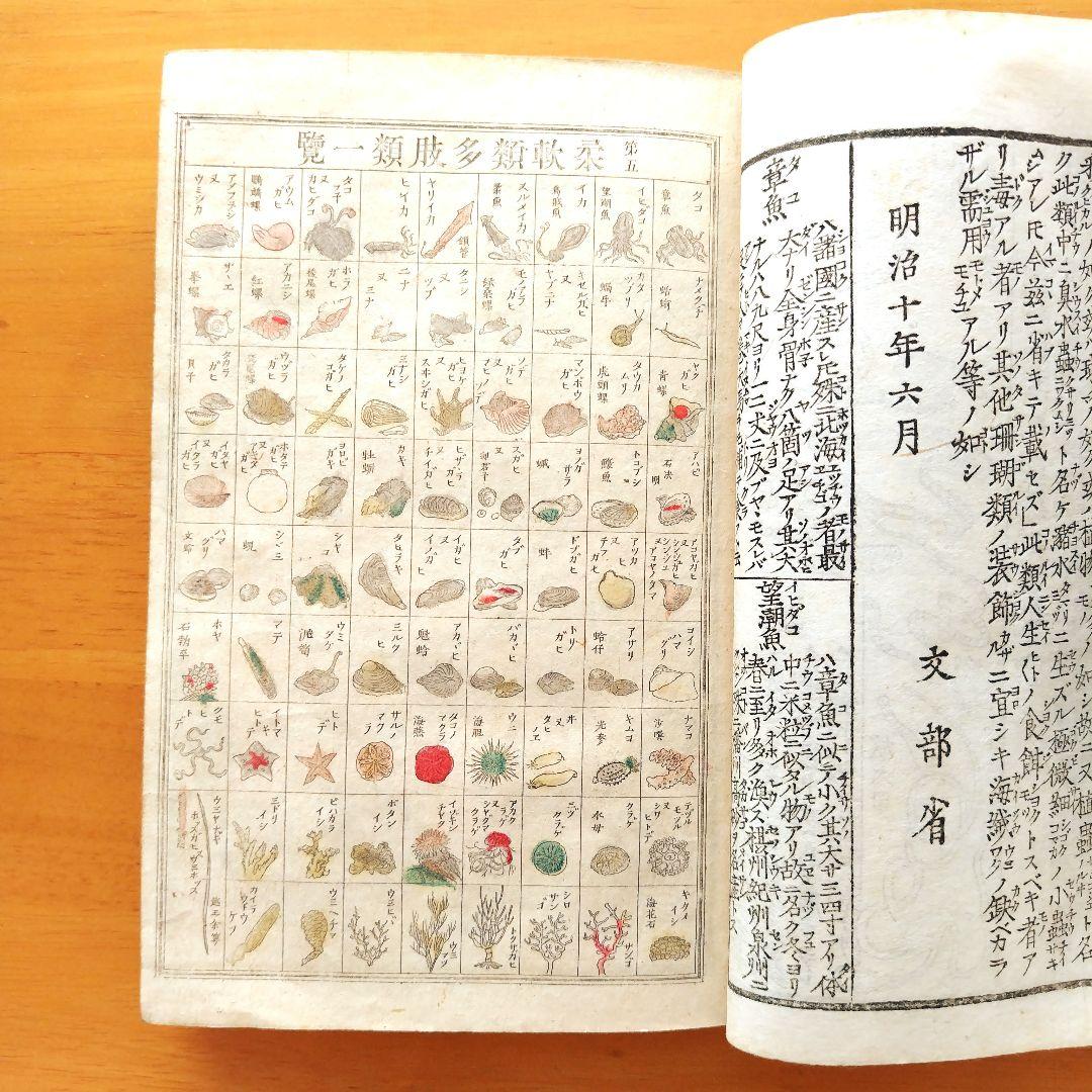 稀少【文部省編纂 博物図教授法 全】明治16年