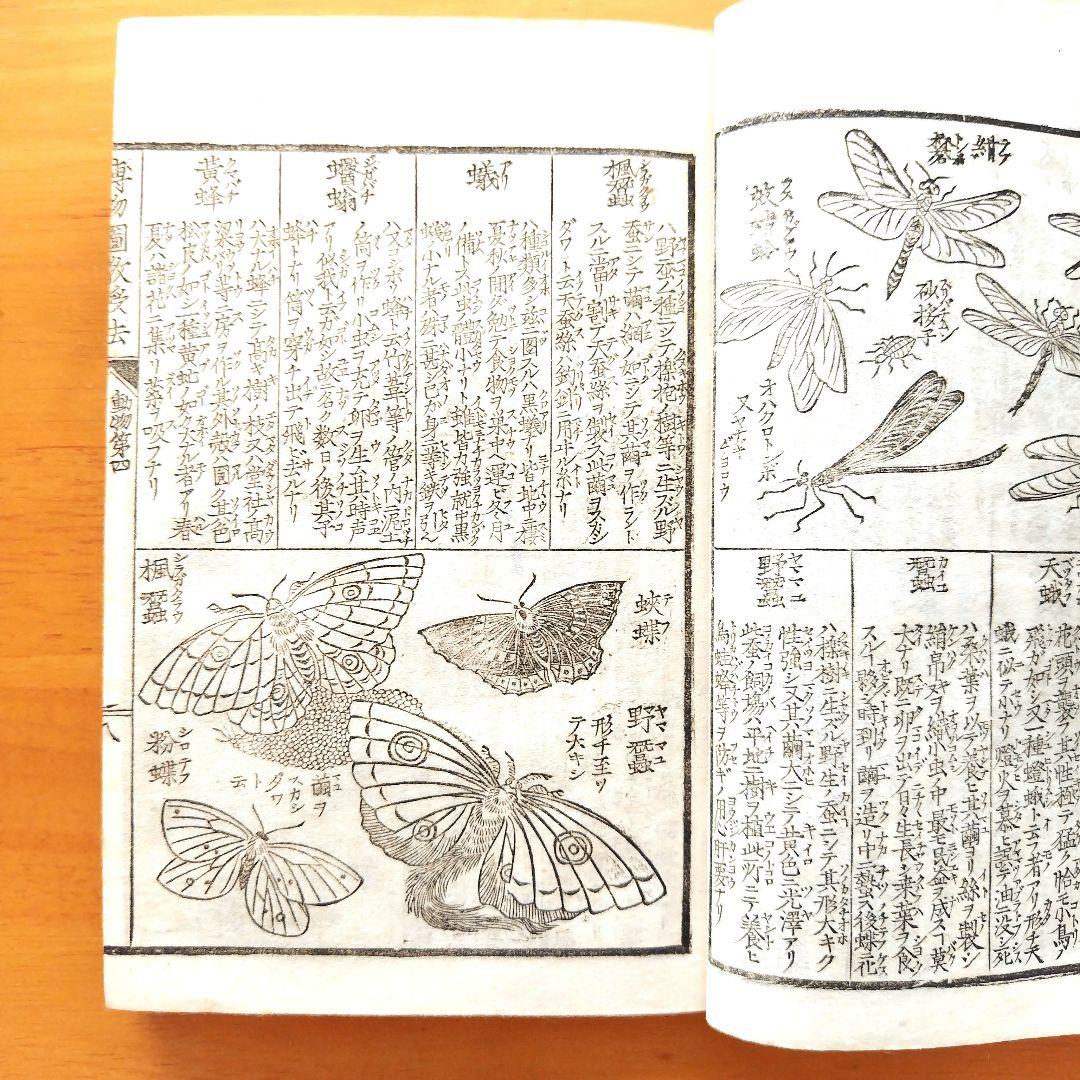 稀少【文部省編纂 博物図教授法 全】明治16年