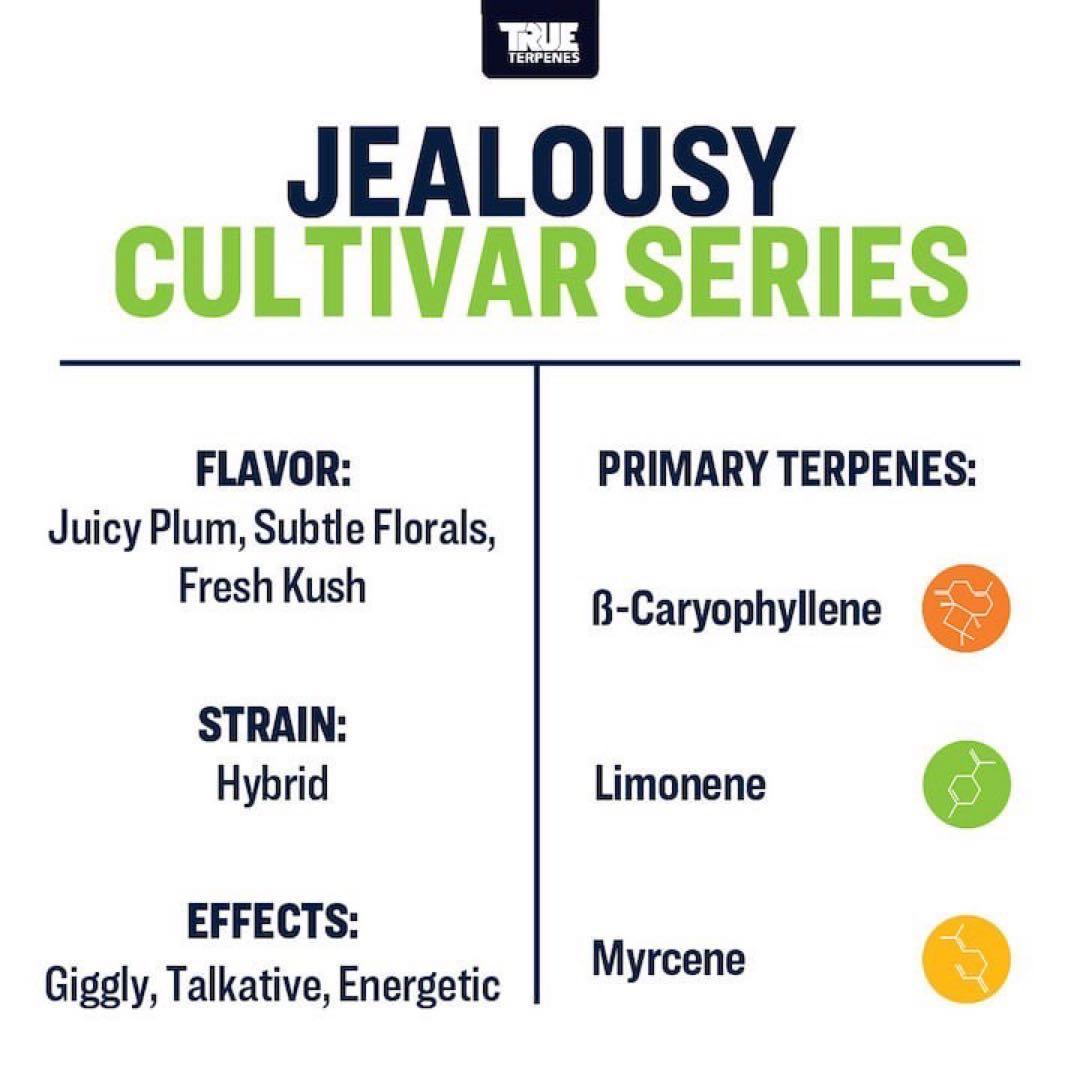 TRUE テルペン 香料 CBD CBN CBG 5ml ジェラシー