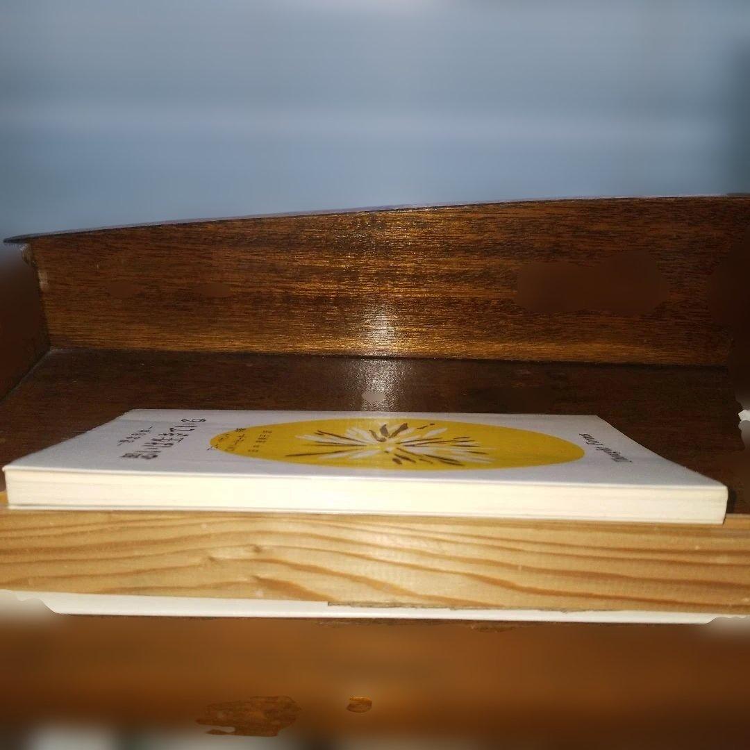 想念形体 思いは生きている アニー・ベザント C.W.リードビーター 竜王文庫