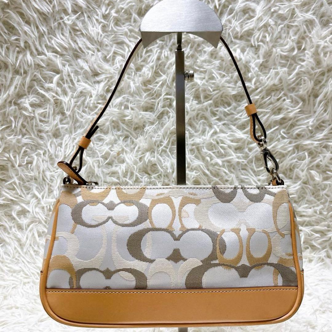 美品 COACH アクセサリーポーチ ハンドバッグ シグネチャー ハンドバッグ