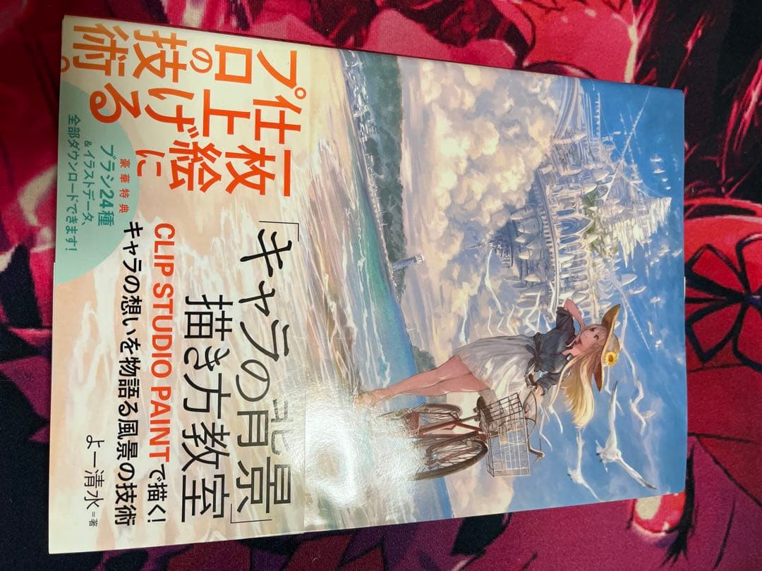 イラスト　参考書16冊セット