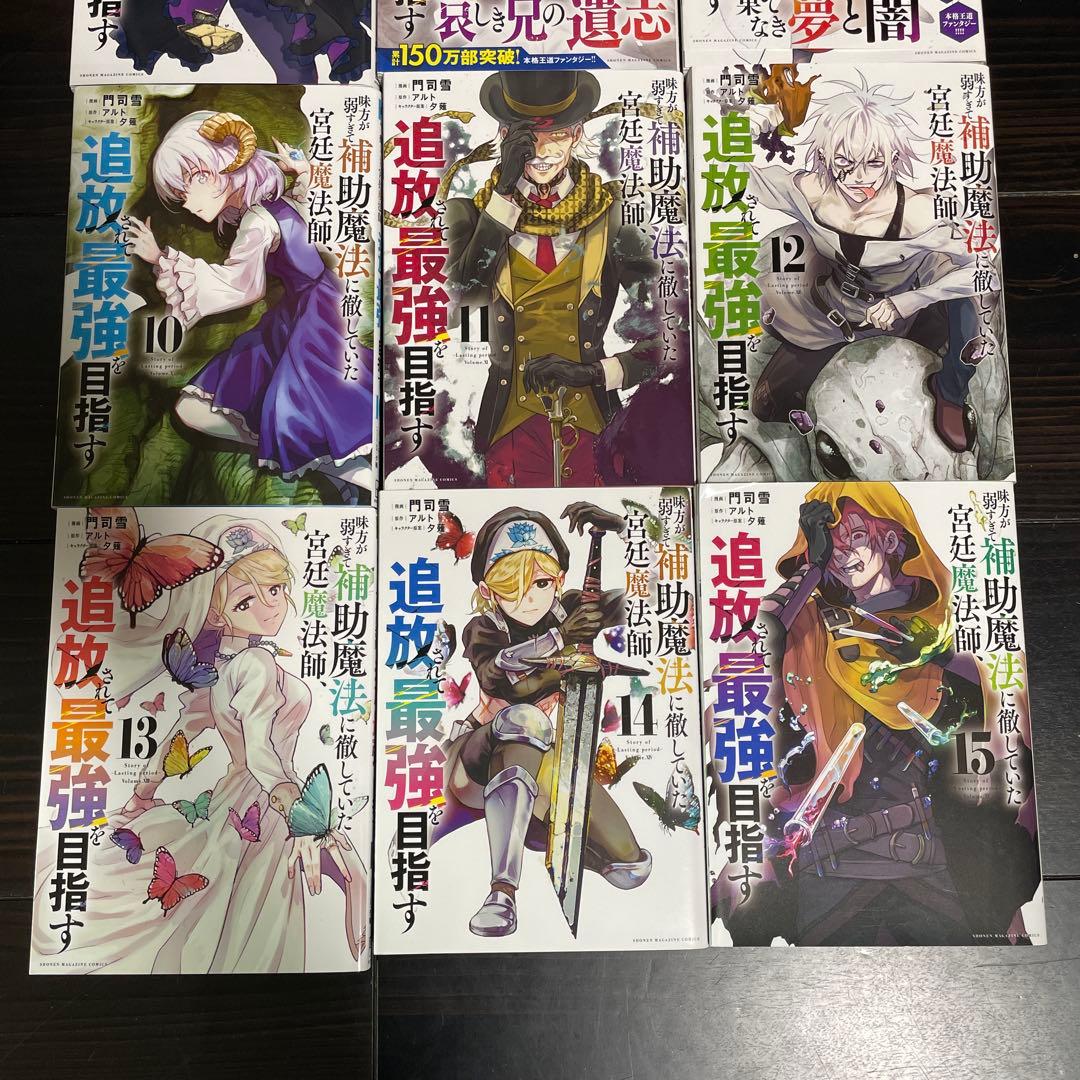 味方が弱すぎて補助魔法に徹していた宮廷魔法師、 追放されて最強を目指す1〜15巻