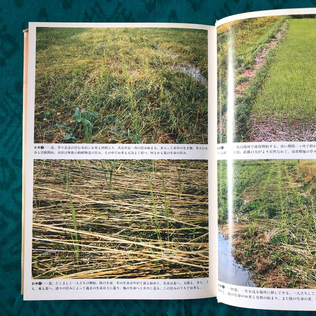 【絶版・希少】妙なる畑に立ちて　川口由一