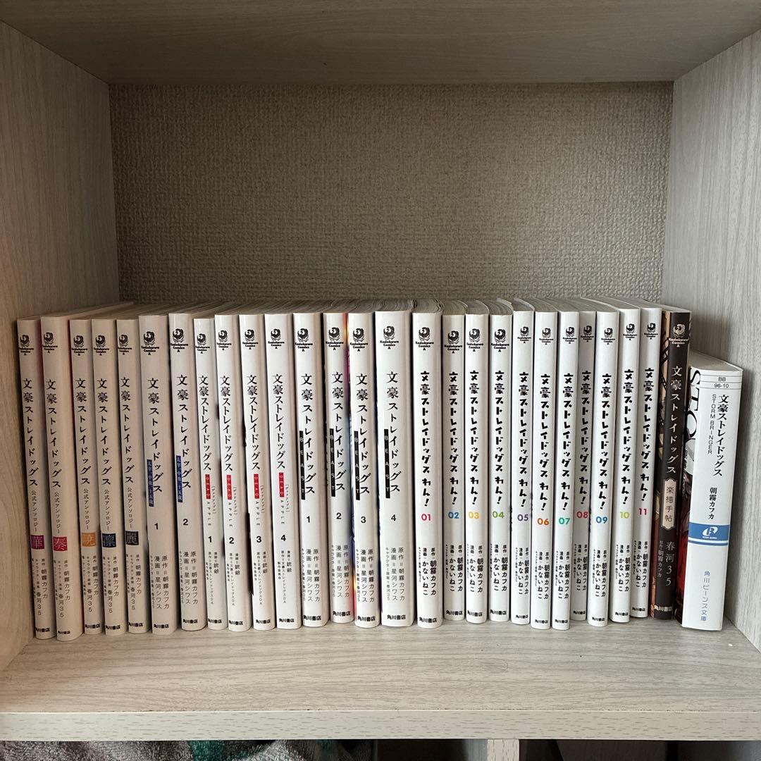 文豪ストレイドッグス 漫画集
