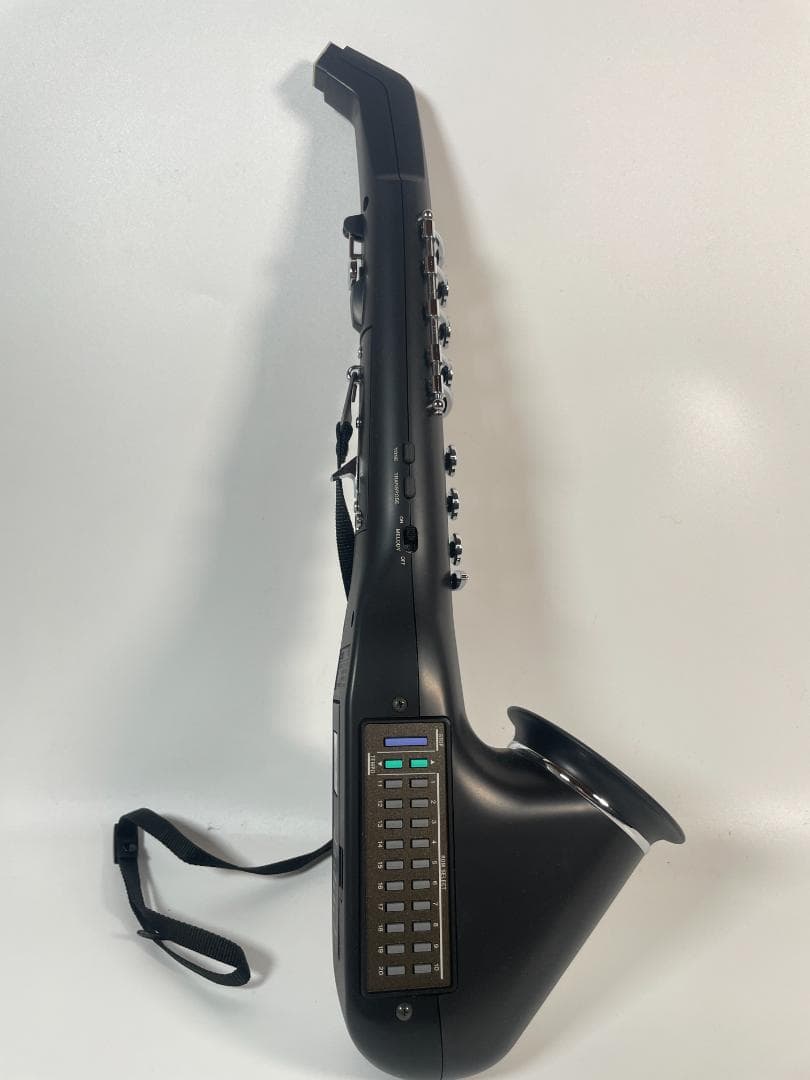 CASIO デジタルホーン DH-800 ケース付き #632-1