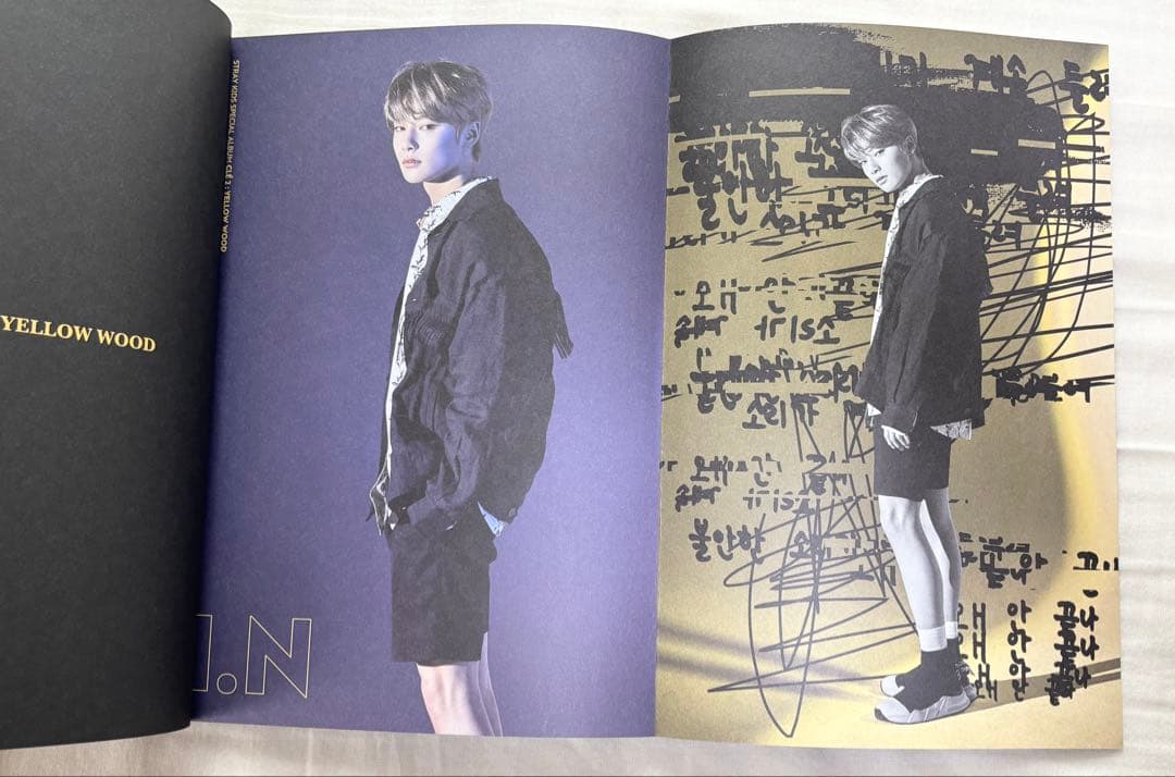 Stray Kids スキズ CD・アルバム　まとめ売り　限定盤有り　20枚