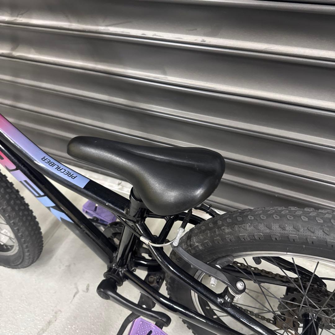 トレック　『PRECALIBER 20』　BK/PU