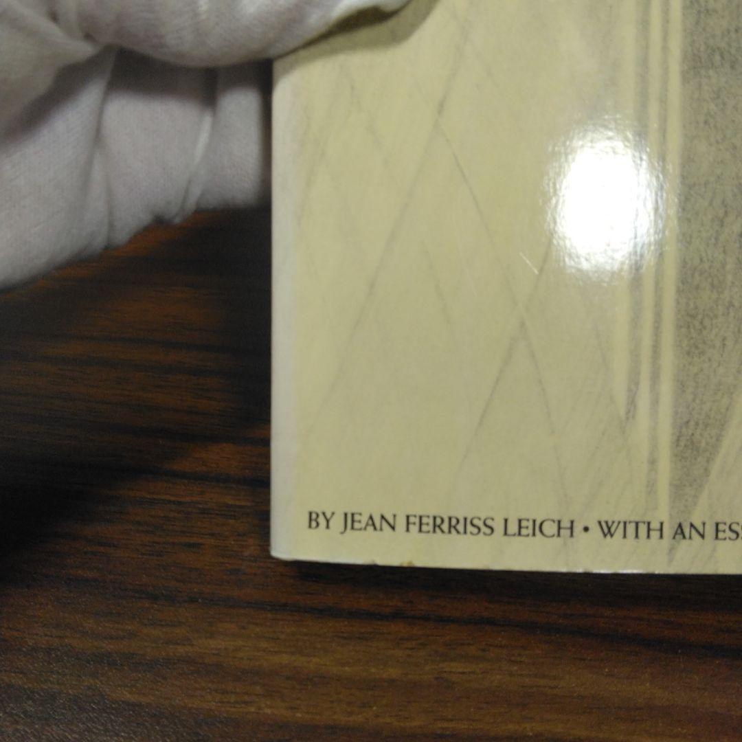 Architectural Visions　ペーパーバック版