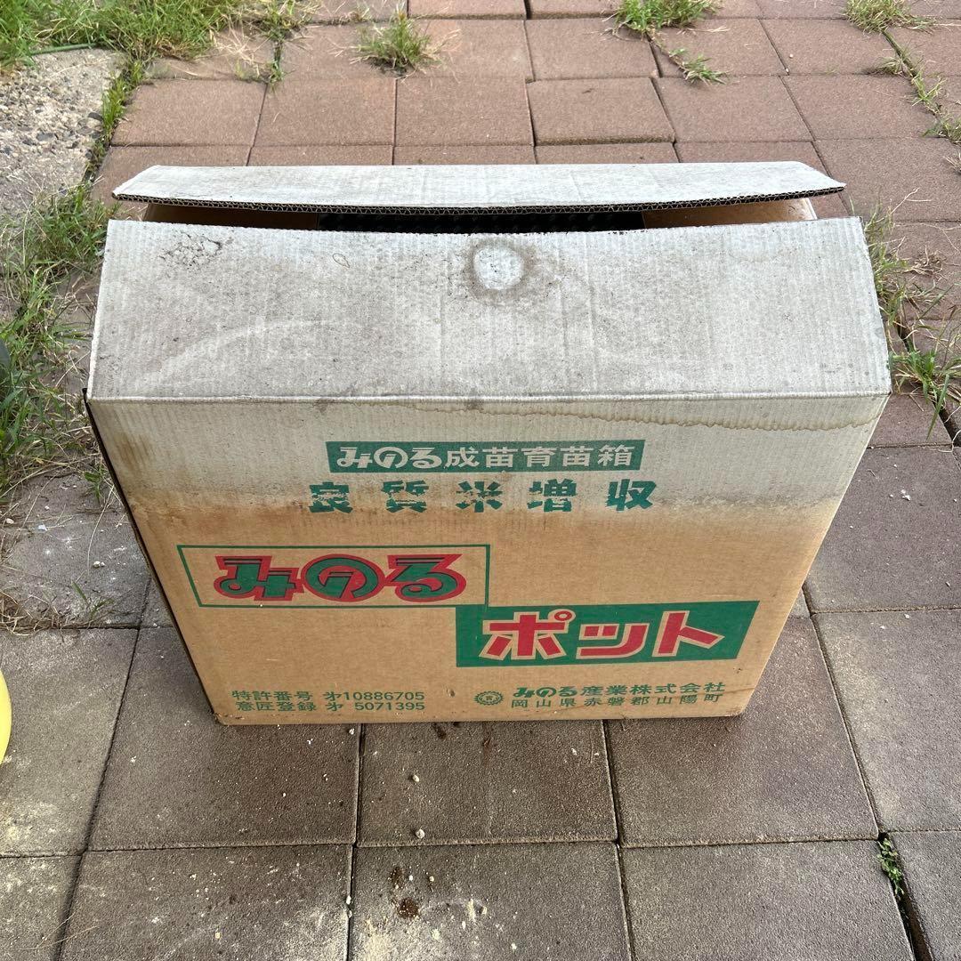 みのるポット 成苗育苗箱 30枚入 448穴 中古品 簡易チェック済