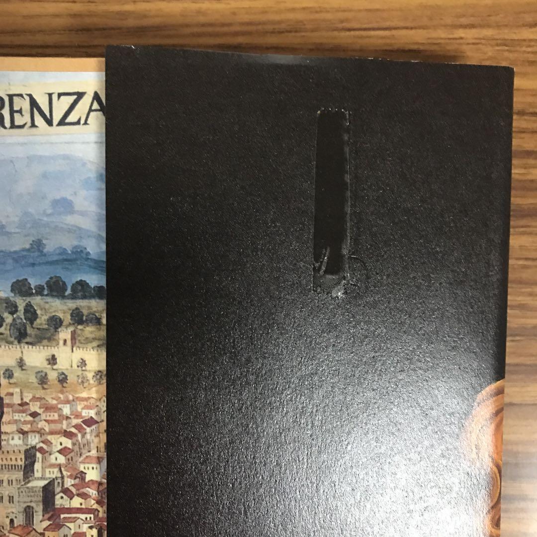 フィレンツェの世紀 = Il secolo di Firenze : ルネサン…