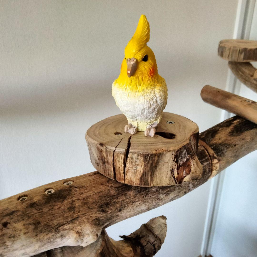 はな バードアスレチックジム ㊽ 天然木 自然木 止まり木 インコ オウム