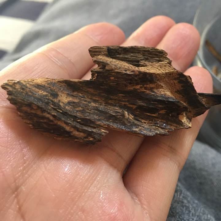 沈香 ベトナム產 油多い 伽羅 香木