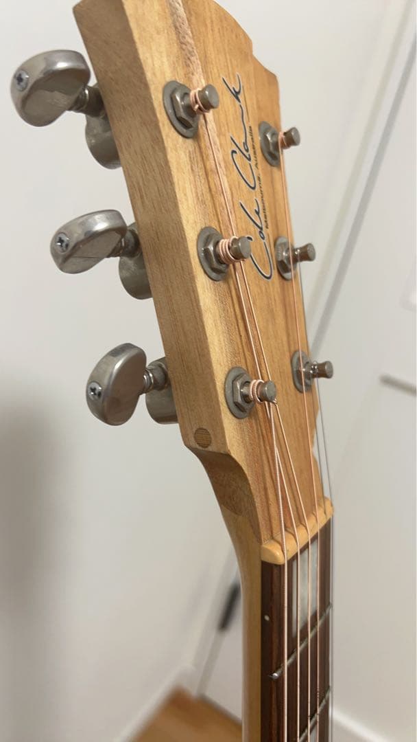 Cole Clark FL2AC3 BM 3WayPU コールクラーク