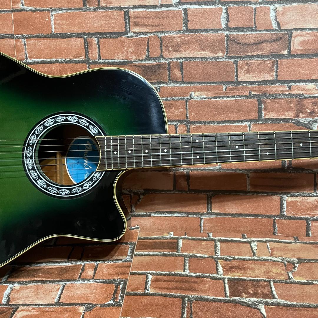 モーリス PA60 FBU（エレアコ）（専用ソフトケース付き）