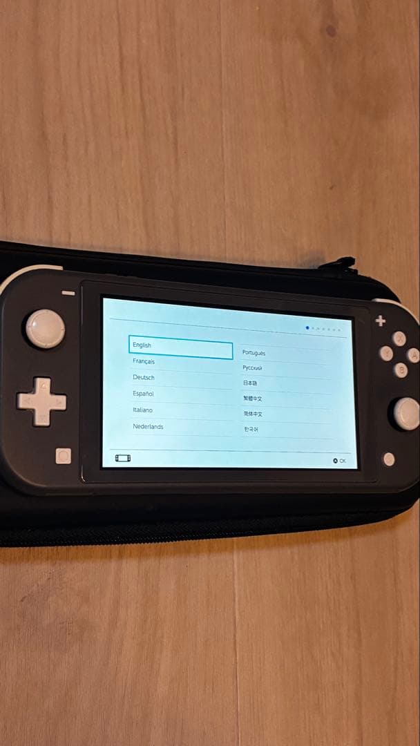 Nintendo Switch Lite グレー 充電器・ケース付